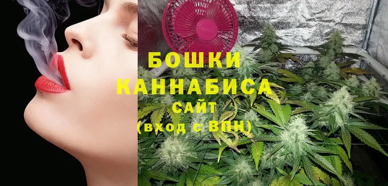 Шишки марихуана THC 21%  Ермолино 